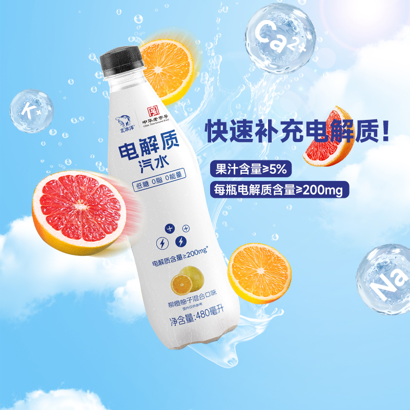 北冰洋电解质水0脂0能量480ml