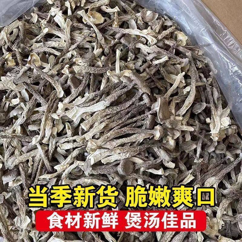 山姆冠必买鹿茸菌新货鹿茸菇干货新鲜香菇干货福建特产鹿茸菇可