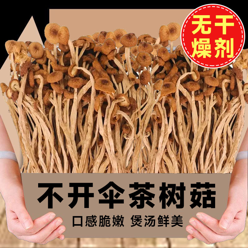 山姆必买新货古田茶树菇茶树菇干货鲜嫩农家茶薪菇农家无熏硫超值