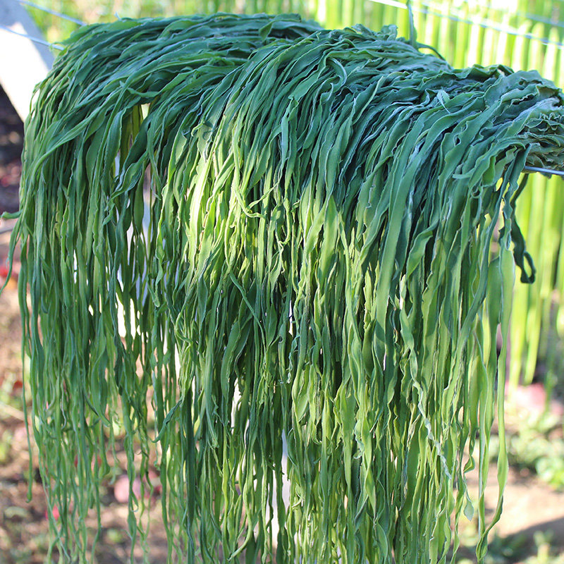 云南无叶贡菜500g新鲜苔干太菜农家土特产响菜干脱水蔬菜包邮特级,水产肉类/新鲜蔬果/熟食,其它,淘宝优惠券,粉丝福利购,淘宝优惠卷