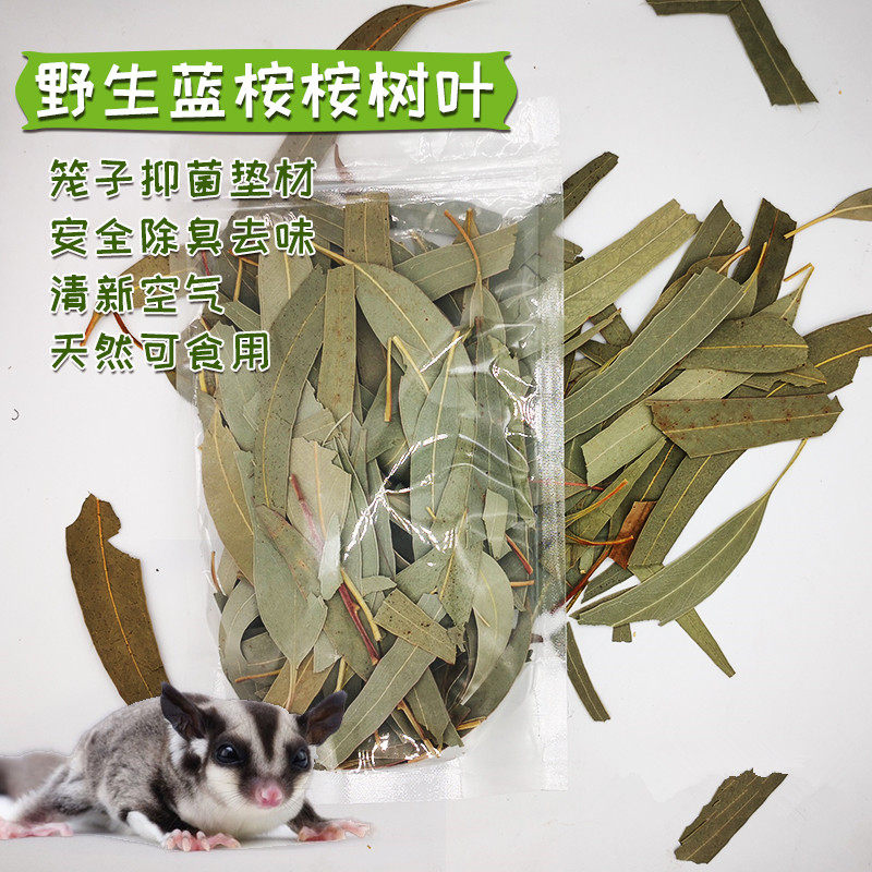 蜜袋鼯桉树叶除臭抑菌祛味垫材干树叶烘干野生蓝桉树叶驱虫去味
