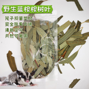 蜜袋鼯桉树叶除臭抑菌祛味垫材干树叶烘干野生蓝桉树叶驱虫去味