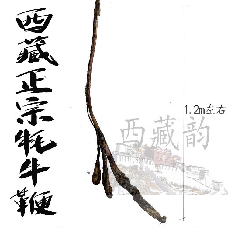 西藏正宗牦牛鞭 带睾丸 干牛鞭 1.2米左右 350克重量 正宗牦牛鞭