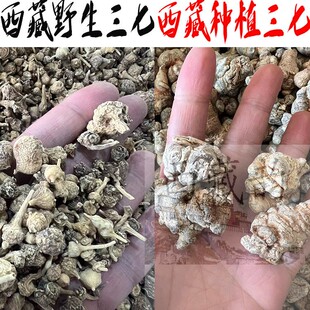 野生三七 西藏林芝产野生三七 纽扣七 藏三七 250克 包邮