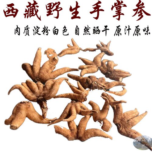 西藏直发50g包邮 西藏林芝野生手掌参 佛手参 直接晒肉质淀粉白色