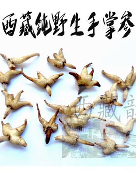 西藏直发50g仅售65元包邮 西藏野生手掌参 佛手参 直接晒肉质白色