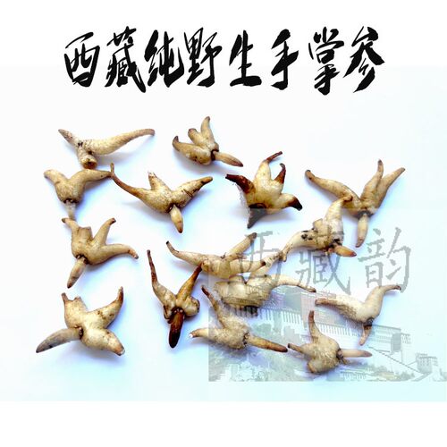 西藏直发50g仅售65元包邮 西藏野生手掌参 佛手参 直接晒肉质白色