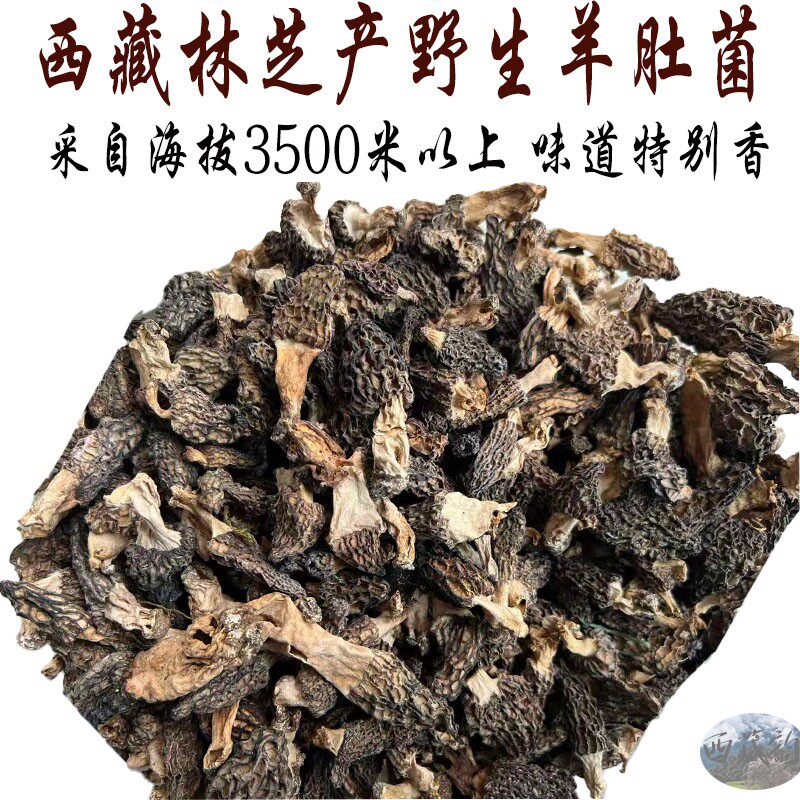 50g包邮 西藏林芝产野生羊肚菌 野生羊肚菌 干品羊肚菌纯晒干