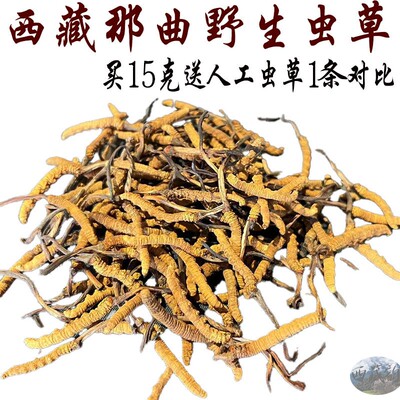 西藏顺丰包邮5g 3-4条/克 那曲冬虫夏草 正品虫草 那曲野生虫草