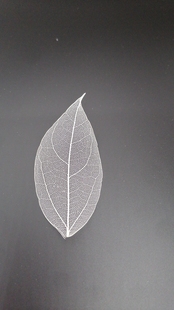 大漆木胎菩提树叶叶脉漆器漆艺漆画木胚金缮微瑕DIY国漆天然书签