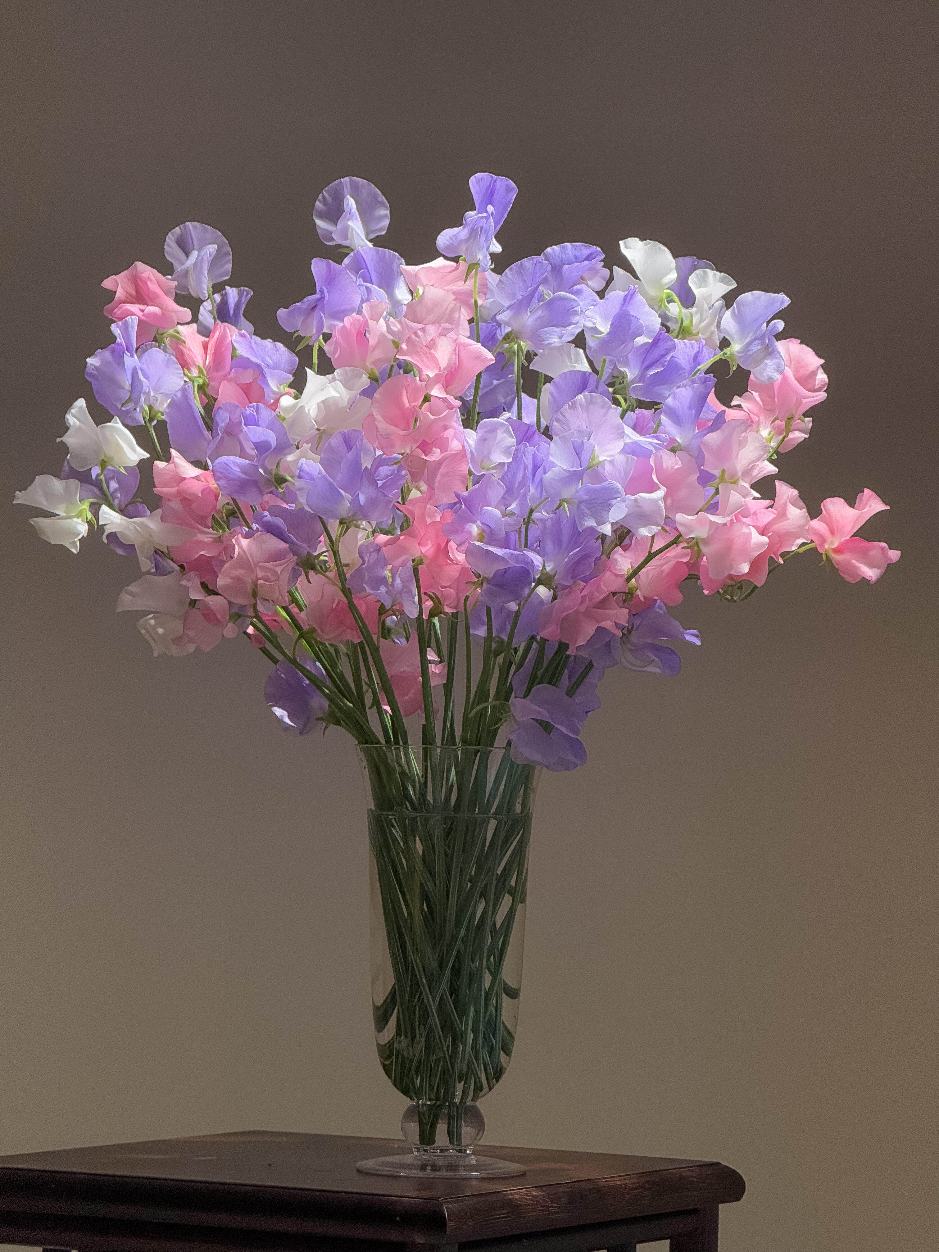 云南香豌豆鲜切花豌豆花云南昆明鲜花优质鲜花高品质