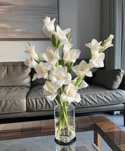 精品优质剑兰云南鲜花鲜切花同城速递基地直发顺丰空运