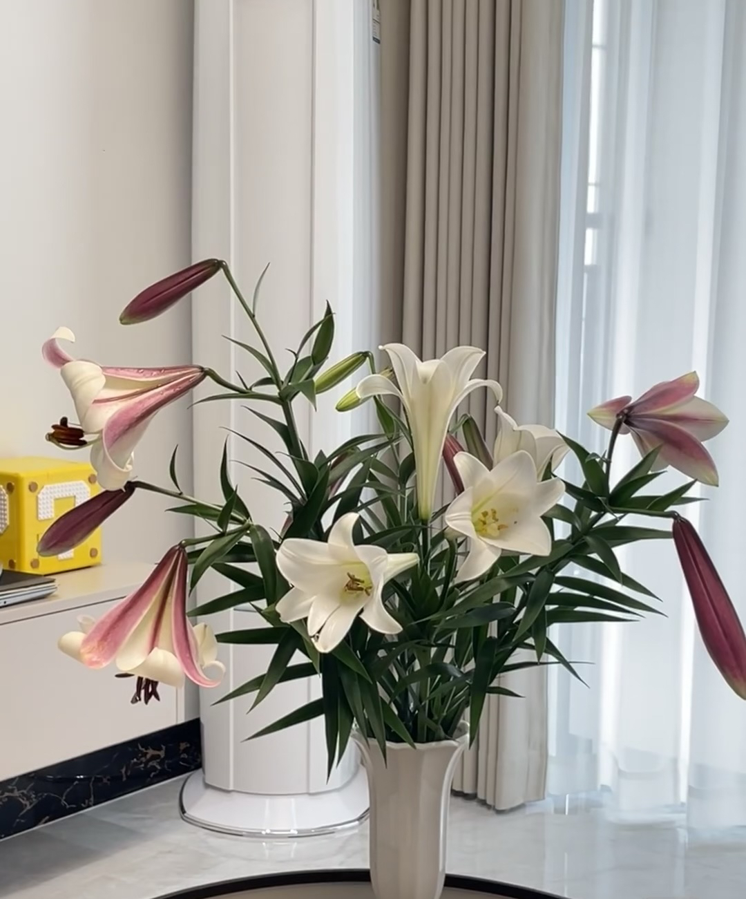 东方月亮云南基地直发百合花鲜花插水养室内鲜切花顺丰