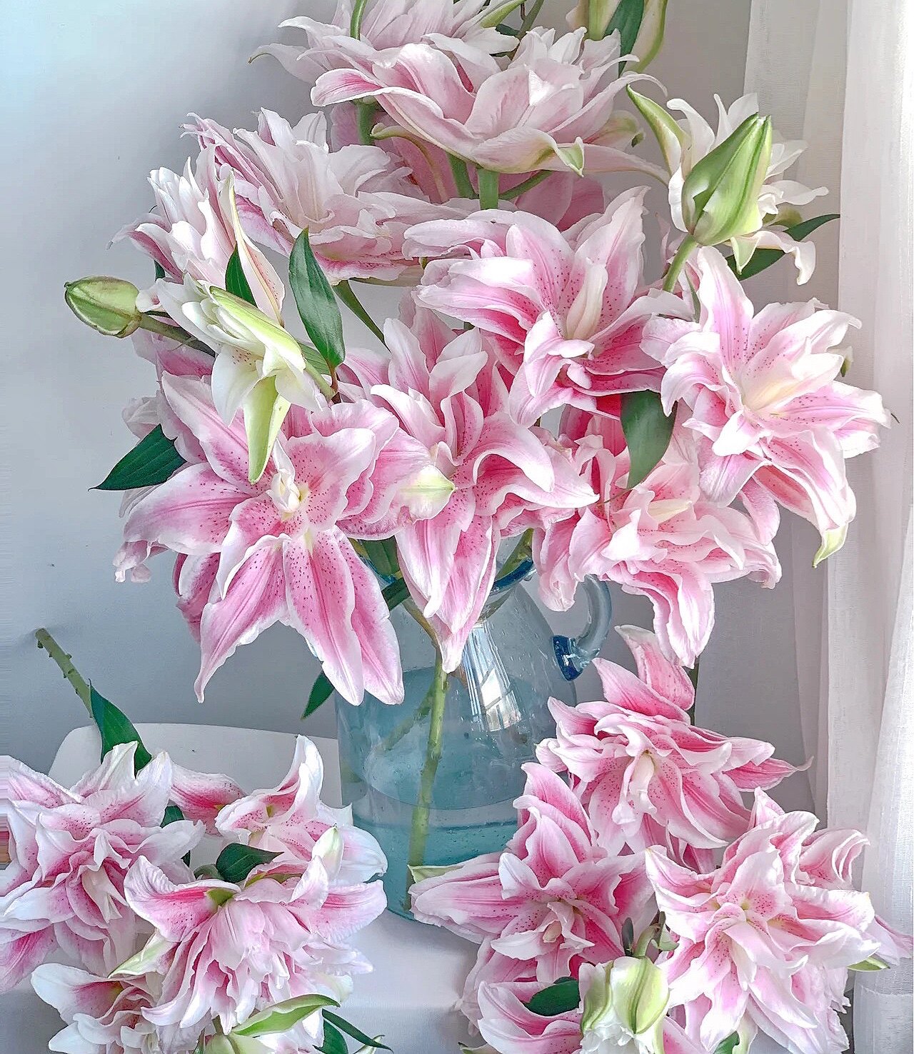 伊莎贝拉重瓣香水百合基地直发直批水养粉色鲜切花顺丰