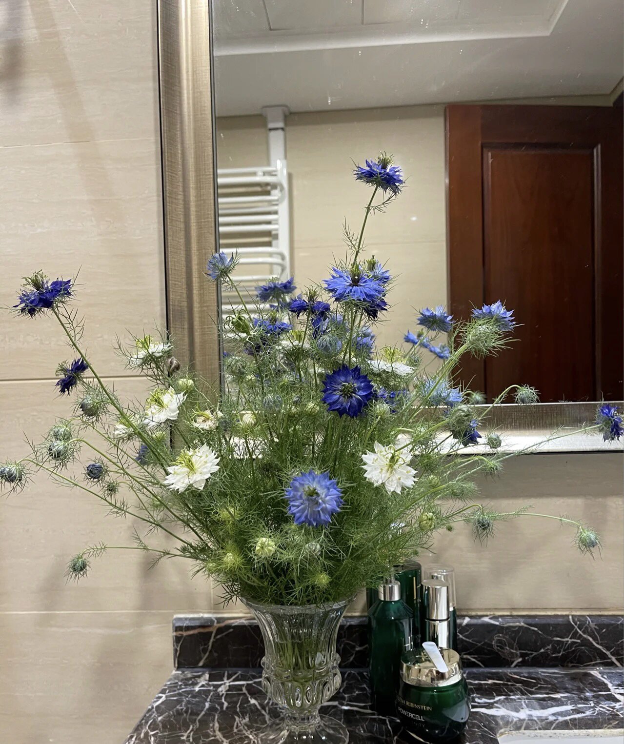 黑种草鲜花云南直发家用插花水养鲜切花朋友礼物室内花水培顺丰