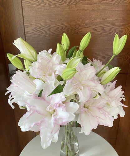 新森林冰美人百合重瓣云南优选鲜切花昆明基地直发家用节日顺丰