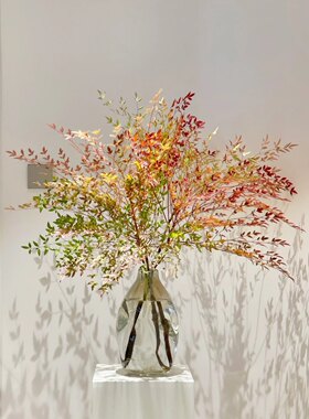 火焰南天竹水培植物室内好养鲜切花卉水养侘寂风绿植顺丰空运