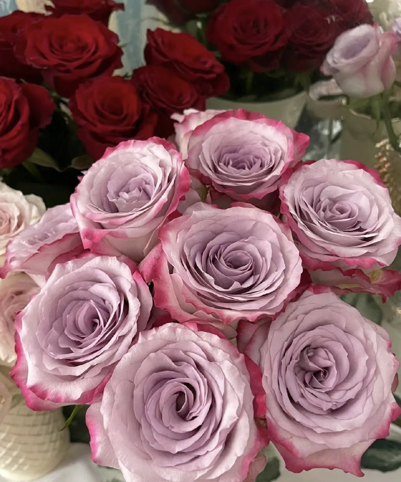 气场高级小众玫瑰粉紫双复色单头大花阳台高端精品玫瑰顺丰鲜切花,鲜花速递/花卉仿真/绿植园艺,花材,淘宝优惠券,粉丝福利购,淘宝优惠卷