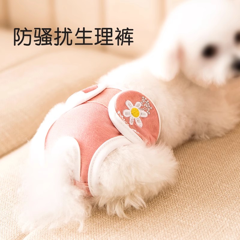 宠物母狗狗生理裤女泰迪柯基比熊小型中型巴哥犬月经期姨妈安全裤