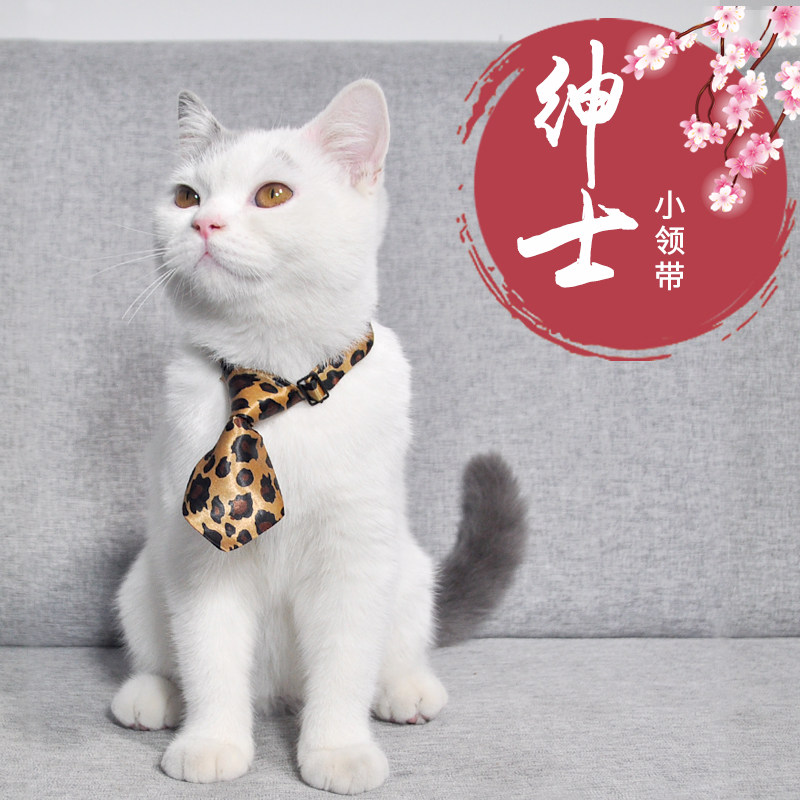 那芙猫 猫咪领结领带口水巾宠物猫猫围脖小猫英短美短折耳饰品