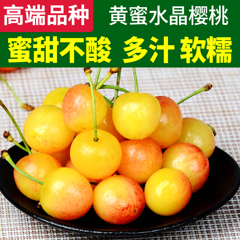 现摘现发3斤黄蜜水晶烟台大樱桃车厘子山东新鲜水果孕妇当季整箱