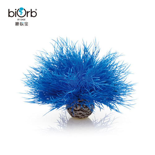 biorb英国装饰品海白合仿真