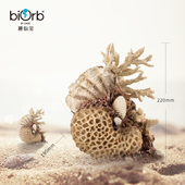 饰仿真造景 珊瑚贝壳装 碧欧宝biorb英国鱼缸水族箱自然装 饰品