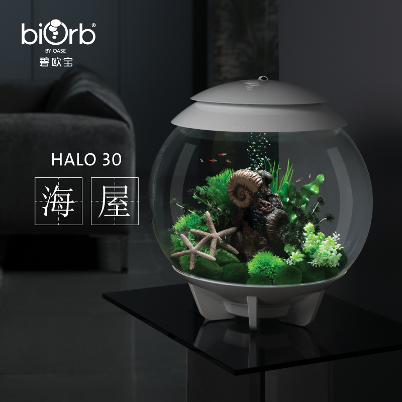 biorb欧式圆形30l办公书房造景