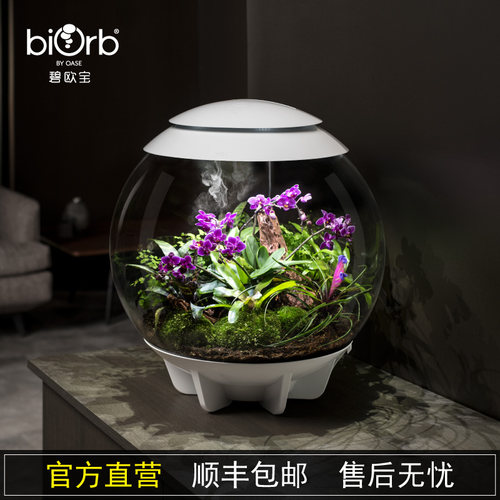 biorb大中型植物爬虫缸家用办公