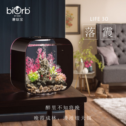 碧欧宝biorb全透明生态鱼缸懒人30L家用办公室创意方形水族箱造景