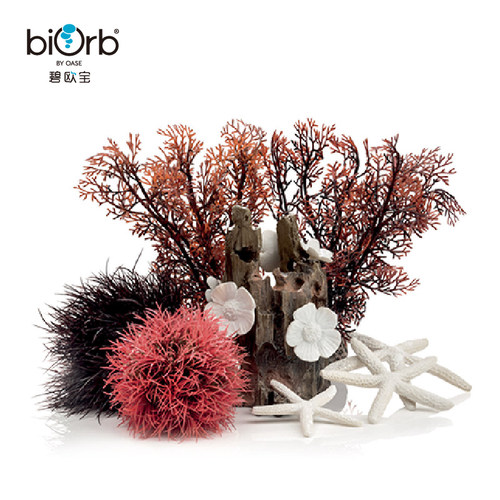 欧宝biorb英国鱼缸红色森林