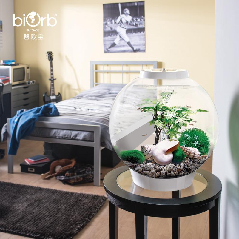 小型biorb桌面亚克力观赏鱼鱼缸