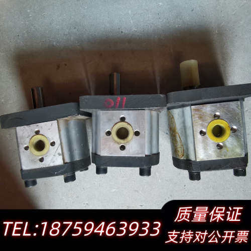 SDH大众齿轮泵CBTt-F310F3P7 物品实景.询价