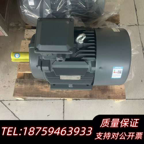 1TL0003-1DB23-3AA4 11KW 4级 卧式询价