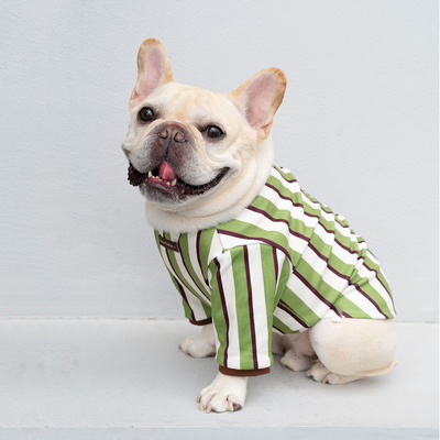 狗狗衣服法斗卫衣保暖宠物用品