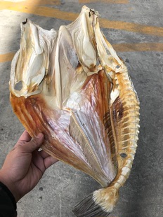 汕尾马宫海味 剥皮鱼干 扒皮鱼特鱼迪仔脯 脱皮鱼 马面豚鱼干350g