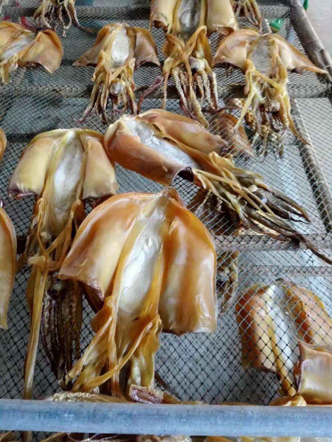 汕尾马宫海味 北海淡晒墨鱼干 乌贼目鱼干野生大乌鱼海鲜干货500g