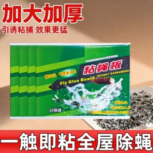 春禾苍蝇贴粘蝇板灭蝇子神器沾蝇蚊子家用强力粘捕捉器沾蚊杀手