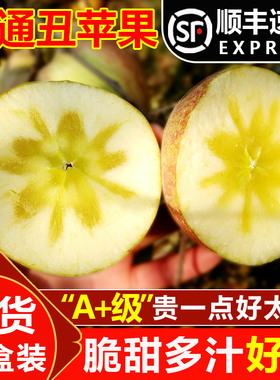 顺丰云南昭通冰糖心丑苹果彩箱礼盒新鲜水果10斤红露当季整箱包邮
