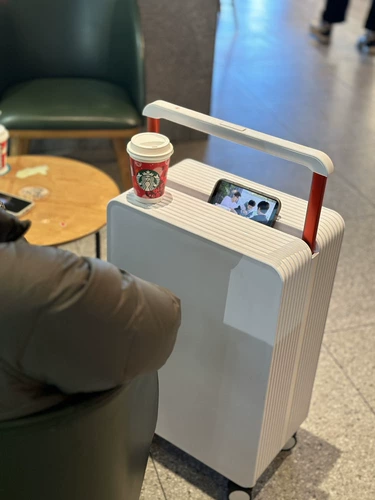 Универсальный чемодан, 26 дюймов