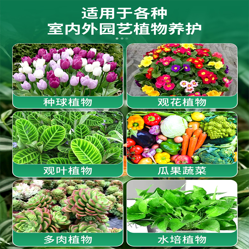 缓释营养棒花肥料家用养花通用型盆栽植物花卉棒状长效肥料