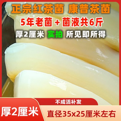调节肠道微生态，适合全家人饮用