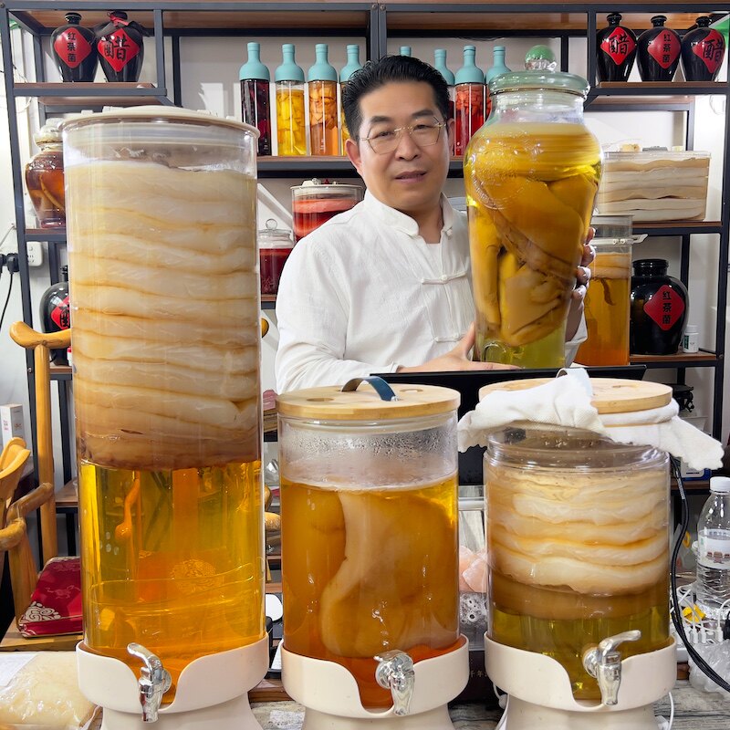 厚2厘米正宗红茶菌种康普茶酵素妈妈胃宝菌海宝醋蛾子木醋杆菌