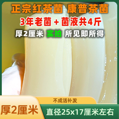 调节肠道微生态，适合全家人饮用