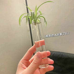 试管花瓶透明玻璃水培花瓶水养植物迷你小花瓶水培绿植细长水培瓶