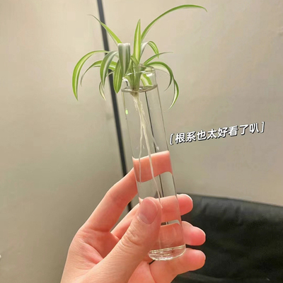 试管花瓶透明玻璃水培花瓶
