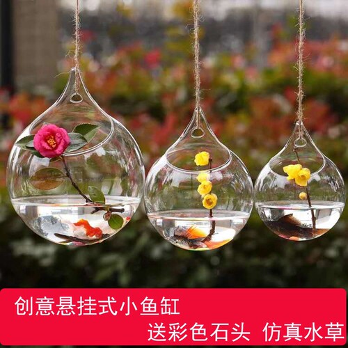 网红小鱼缸悬挂花瓶式迷你乌龟缸