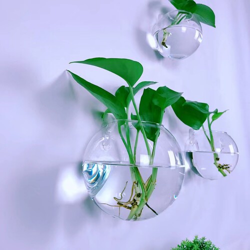 壁挂水培器皿创意透明花瓶