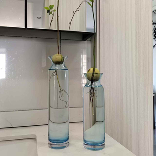 欧式牛油果水培玻璃花瓶牛油果果核养殖瓶种子种植瓶水培器皿容器