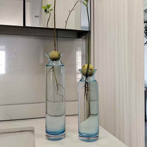 欧式牛油果水培玻璃花瓶